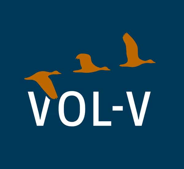 VOL-V logo